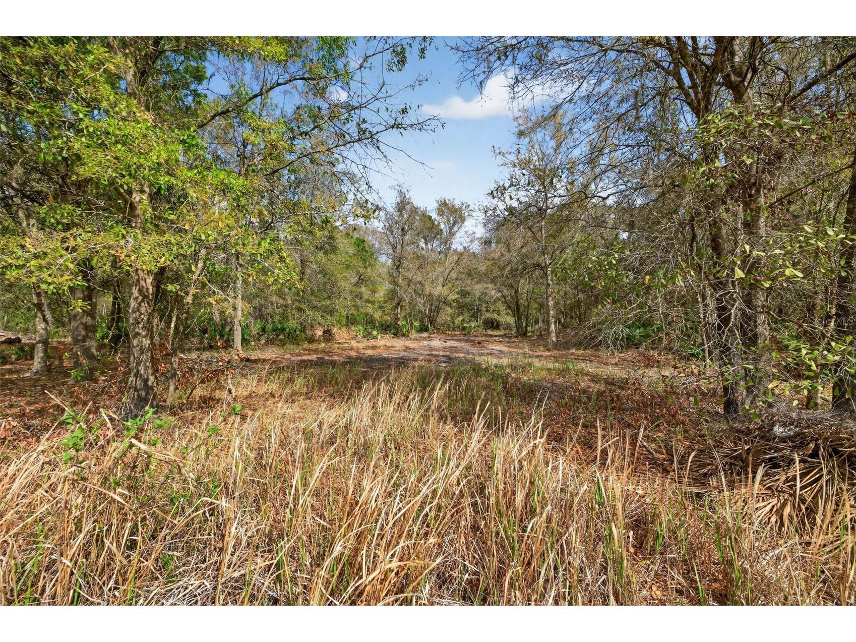 11803 Dog Hollow Lane Lithia FL 33547 TB8490347 image6