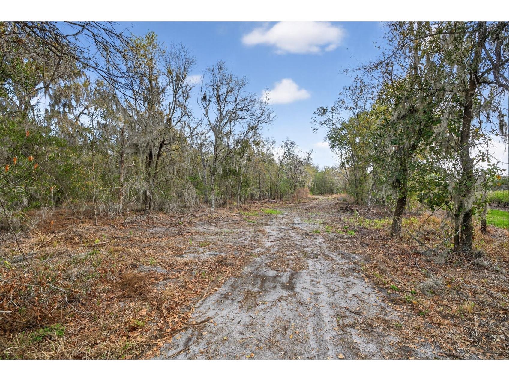 11803 Dog Hollow Lane Lithia FL 33547 TB8490347 image7