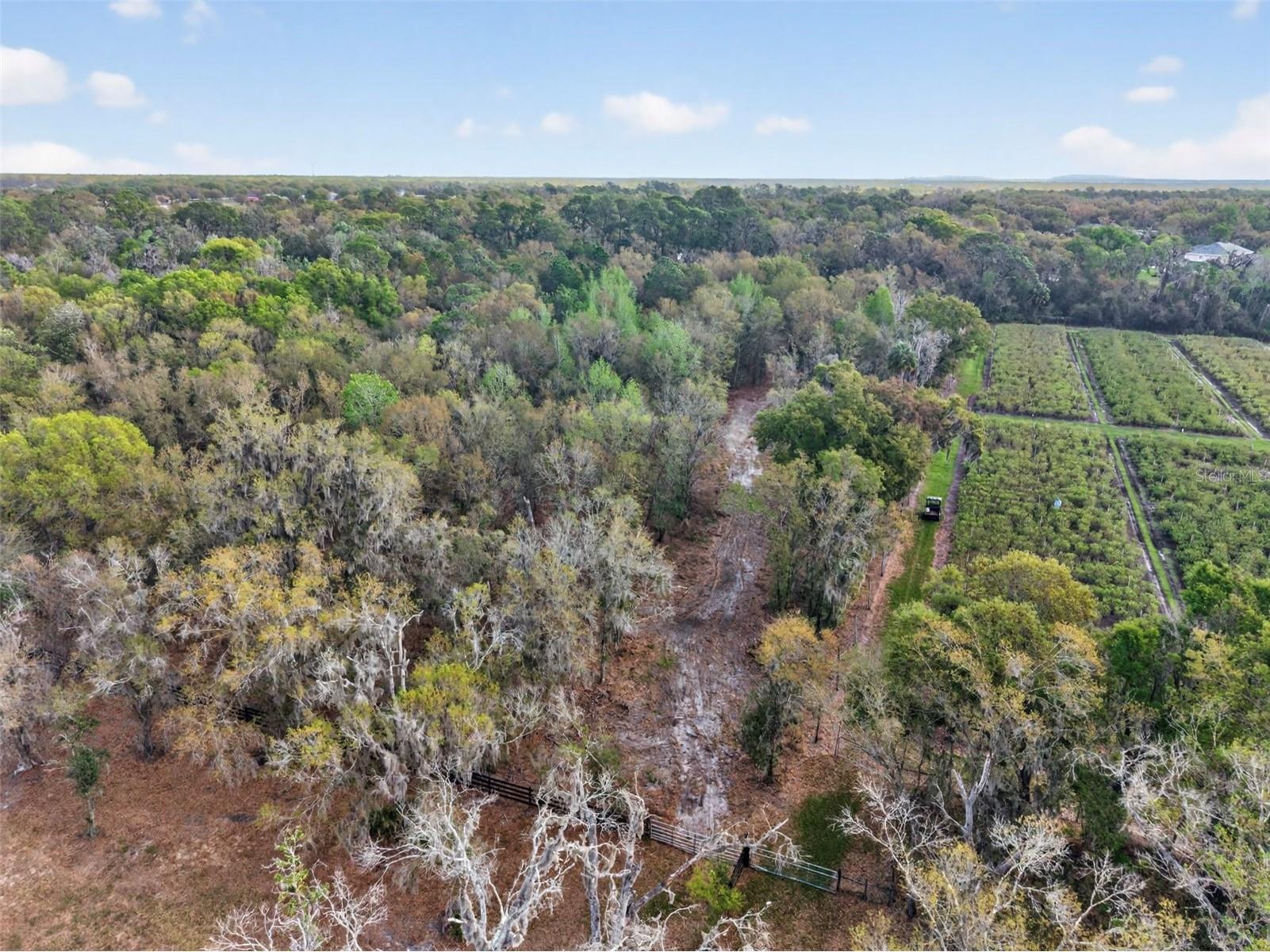 11803 Dog Hollow Lane Lithia FL 33547 TB8490347 image8