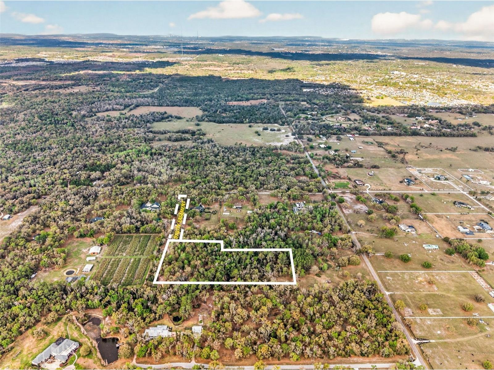 11803 Dog Hollow Lane Lithia FL 33547 TB8490347 image9