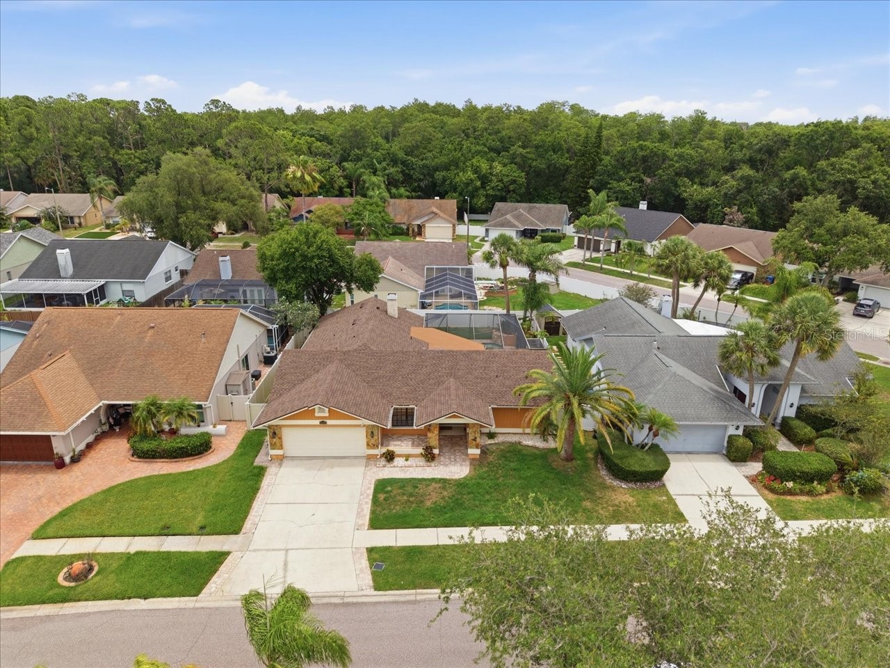 11803 Sweetpea Court Tampa FL 33635 TB8519606 image35