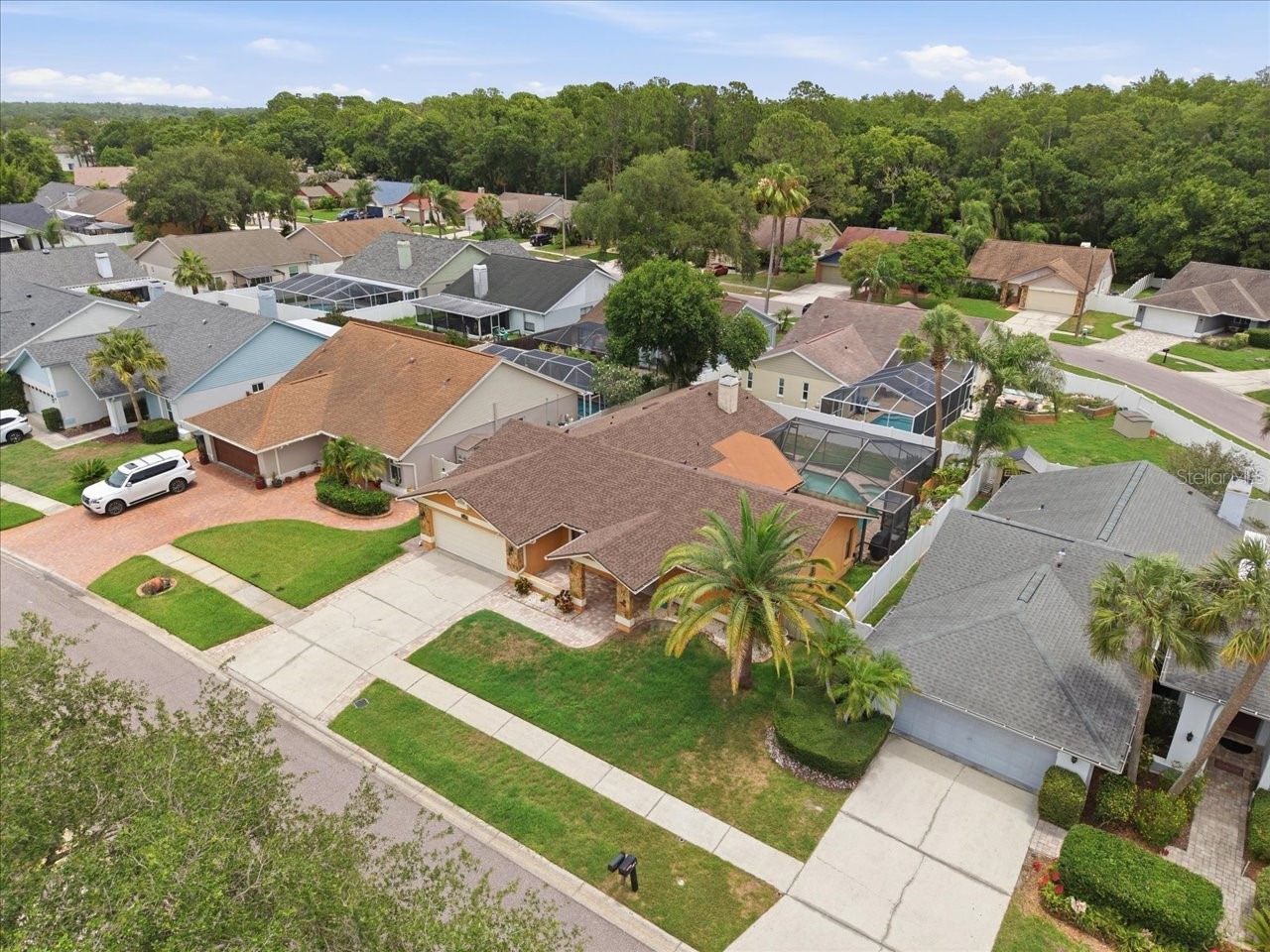 11803 Sweetpea Court Tampa FL 33635 TB8519606 image36