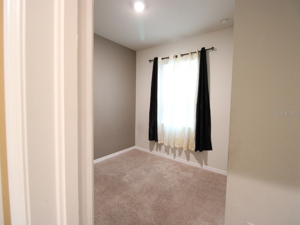 11804 Bluegrass Field Court Riverview FL 33579 TB8347099 image26