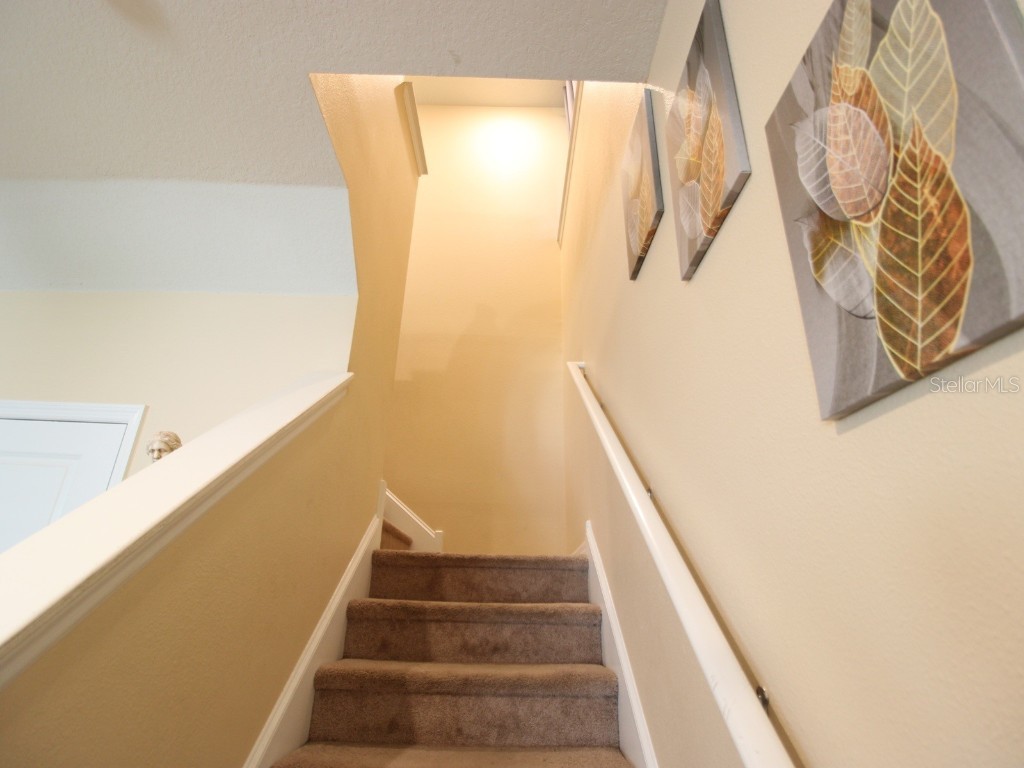 11804 Bluegrass Field Court Riverview FL 33579 TB8347099 image29