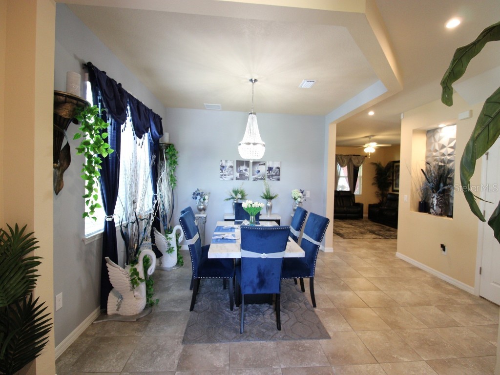 11804 Bluegrass Field Court Riverview FL 33579 TB8347099 image3