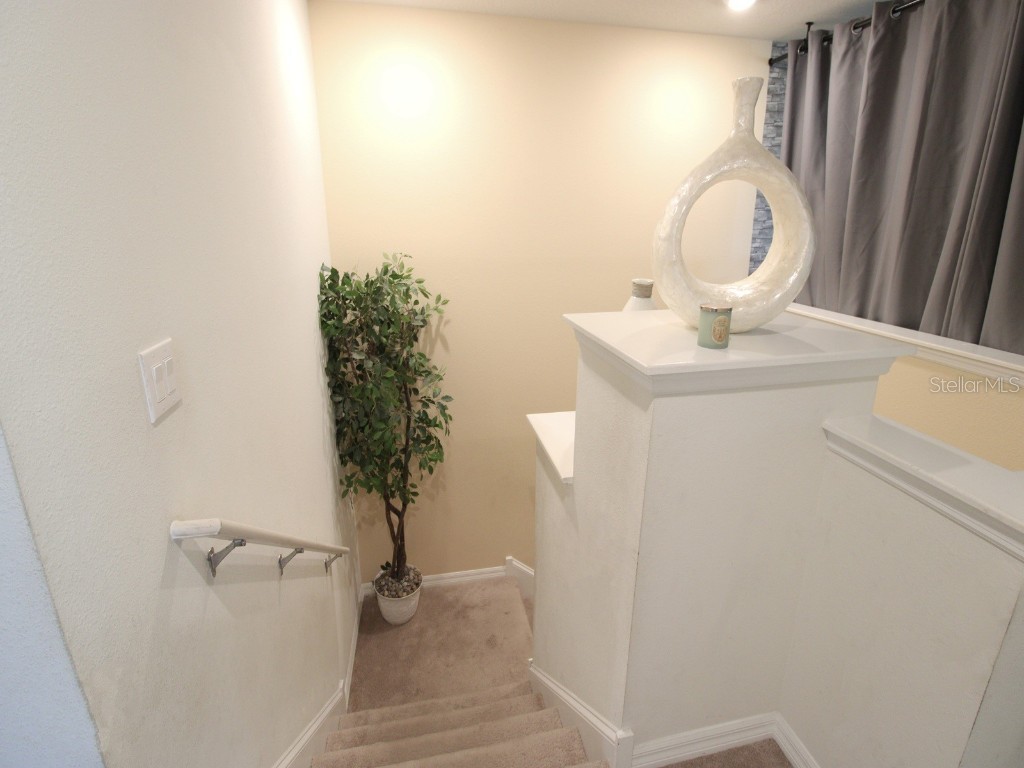 11804 Bluegrass Field Court Riverview FL 33579 TB8347099 image30