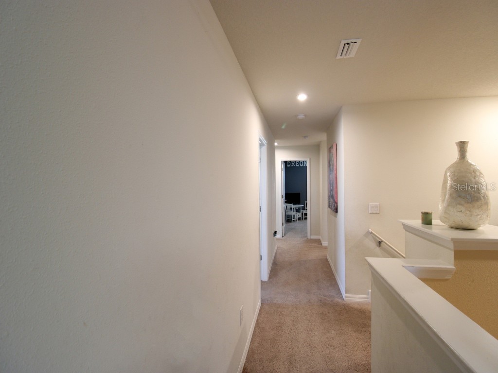 11804 Bluegrass Field Court Riverview FL 33579 TB8347099 image34