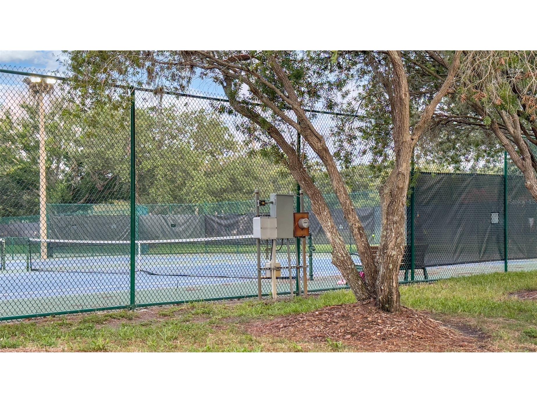 11804 Branch Mooring Drive Tampa FL 33635 TB8517040 image53