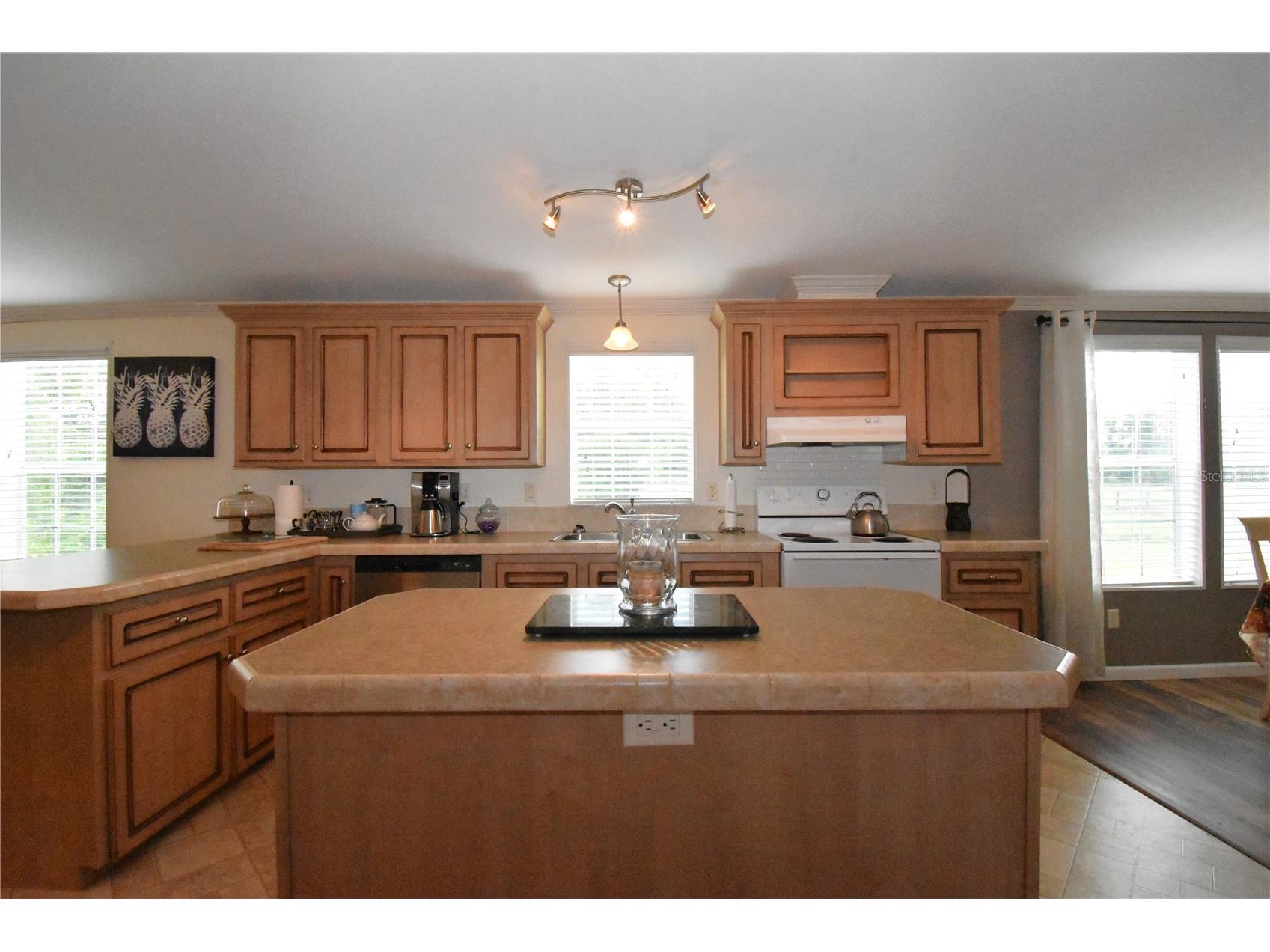 11804 SE County Road 234 Micanopy FL 32667 GC539587 image25
