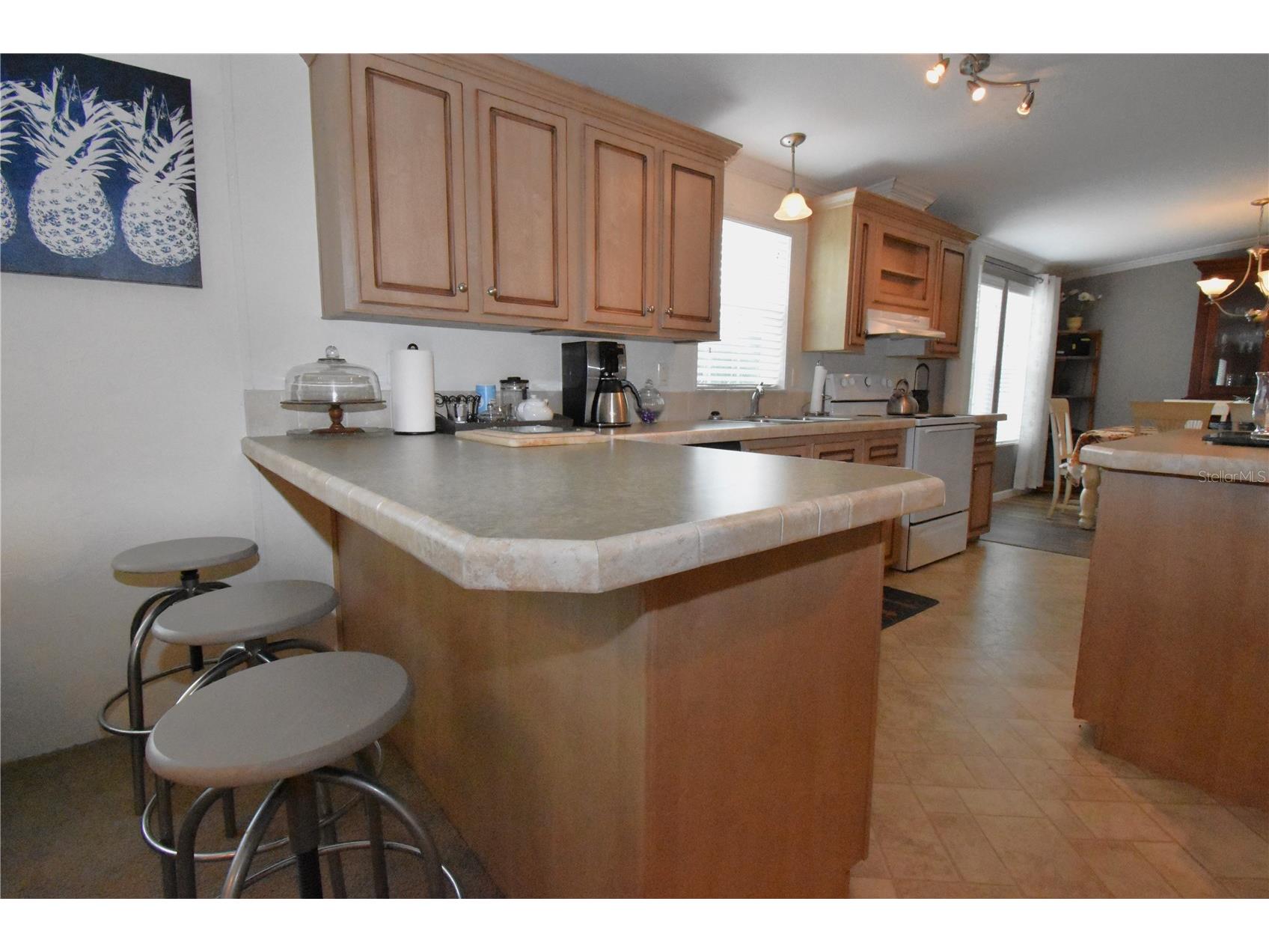 11804 SE County Road 234 Micanopy FL 32667 GC539587 image26