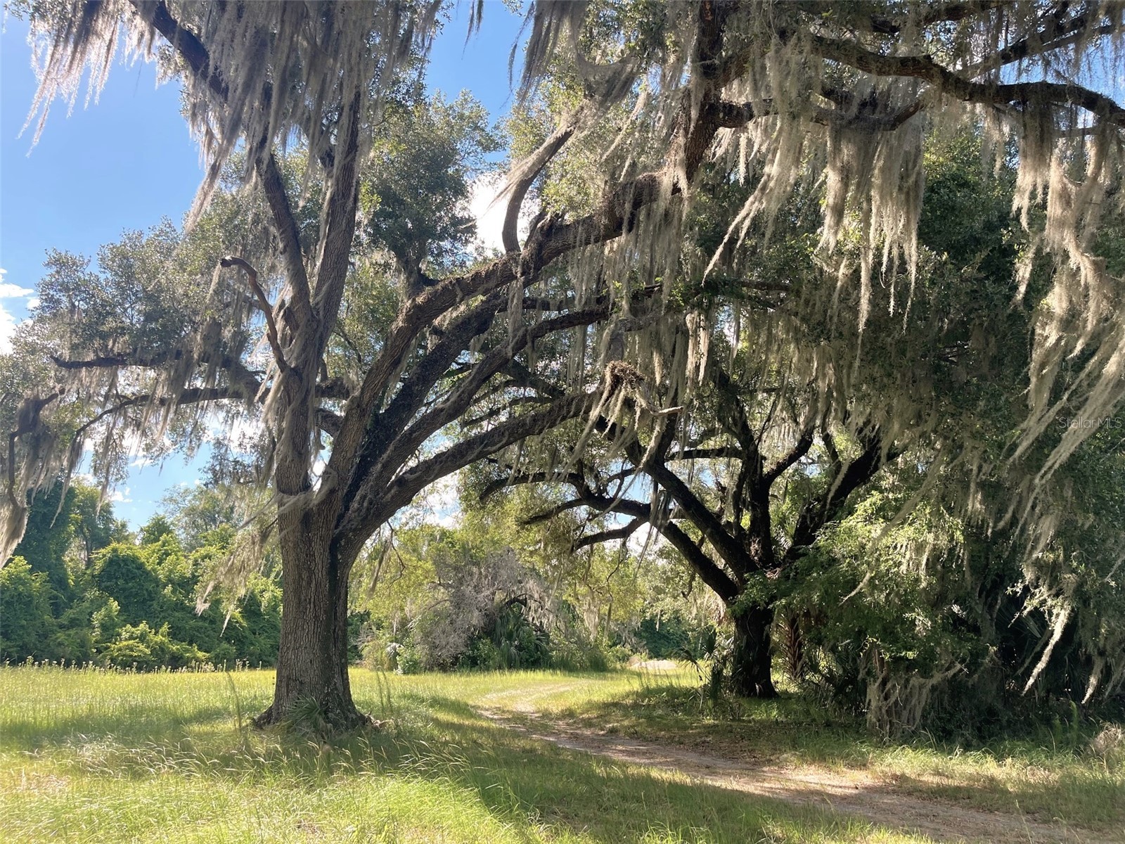 11804 SE County Road 234 Micanopy FL 32667 GC539587 image28