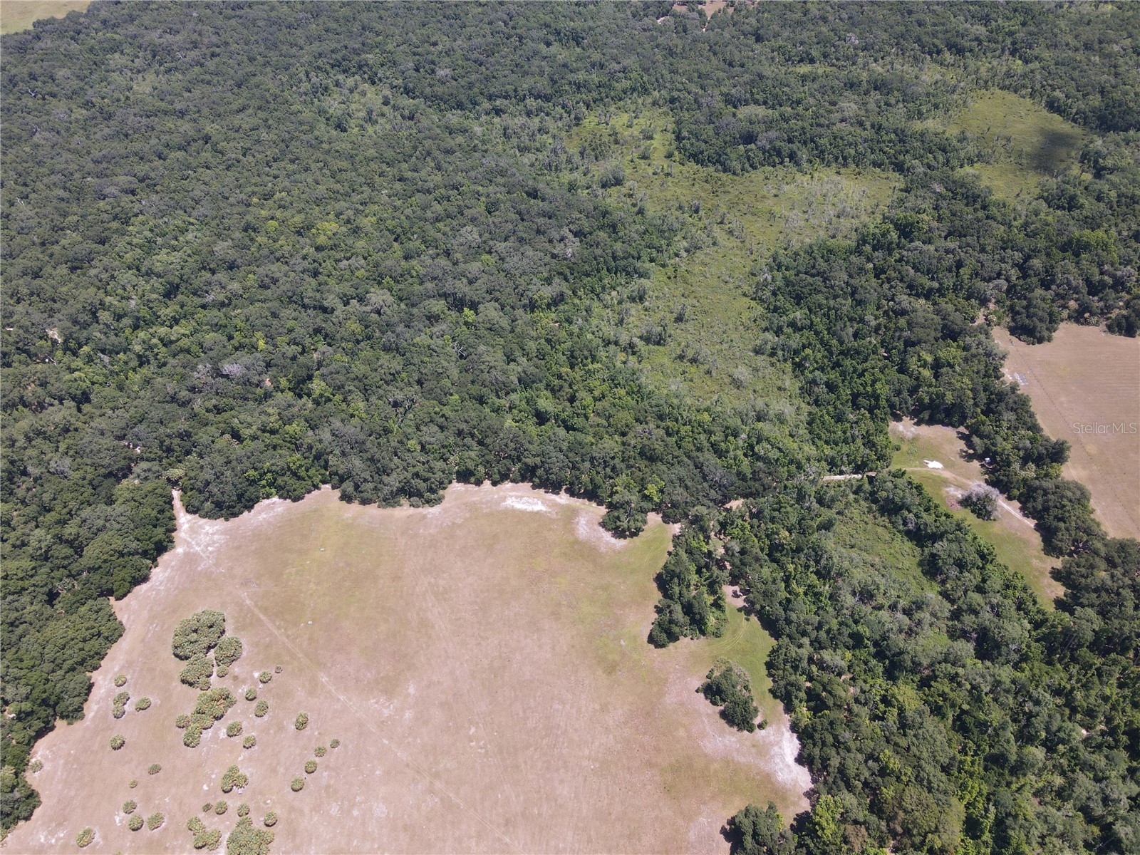11804 SE County Road 234 Micanopy FL 32667 GC539587 image44