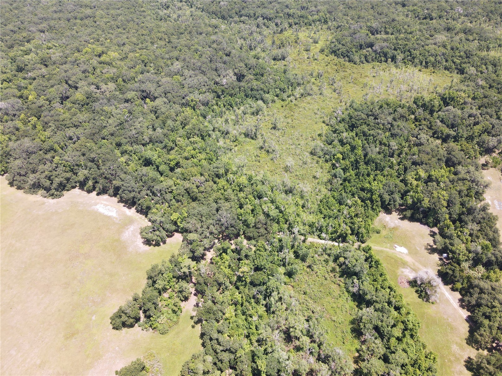 11804 SE County Road 234 Micanopy FL 32667 GC539587 image46