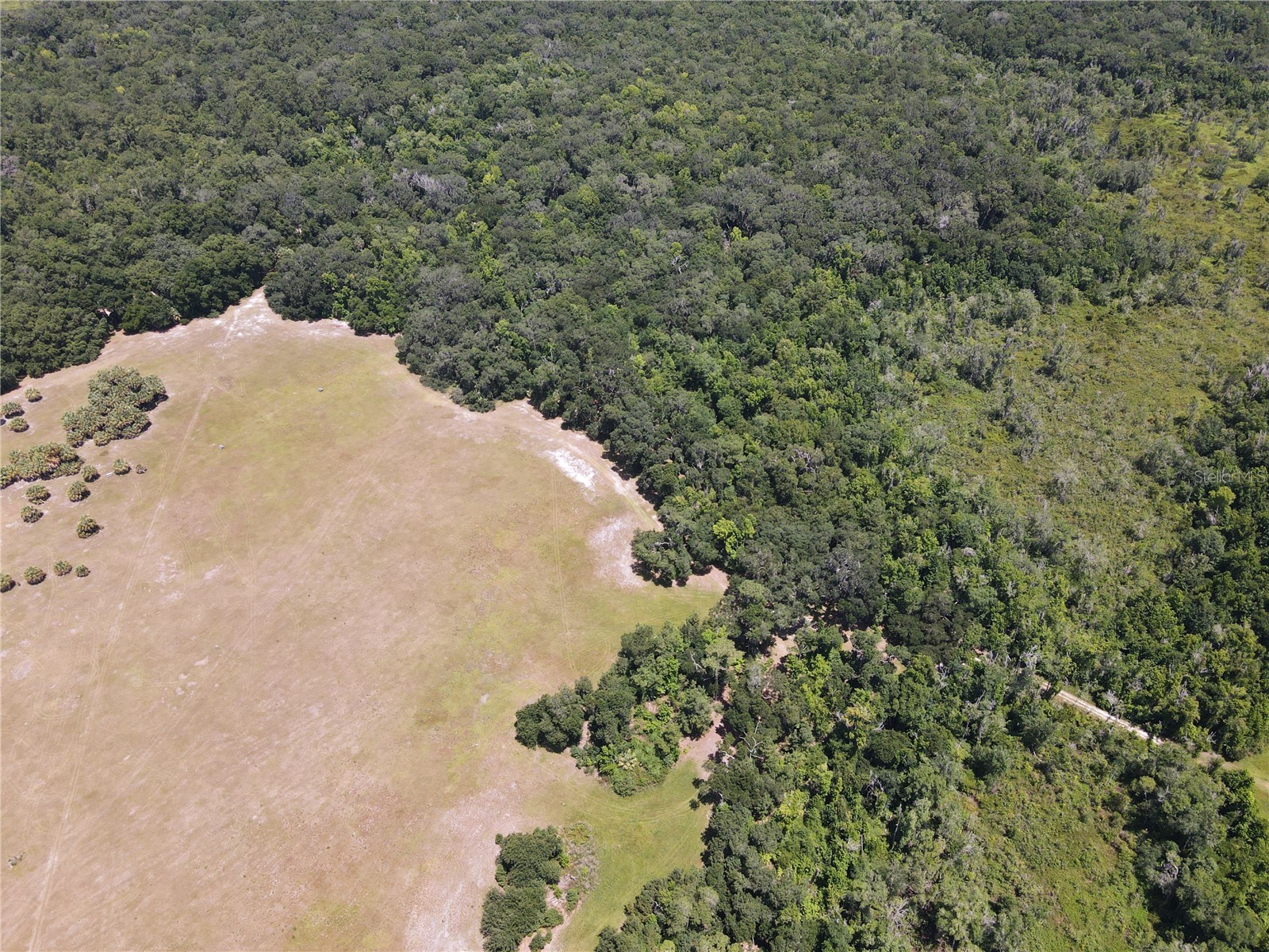 11804 SE County Road 234 Micanopy FL 32667 GC539587 image47