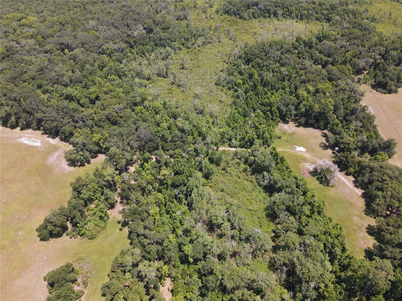 11804 SE County Road 234 Micanopy FL 32667 GC539587 image48