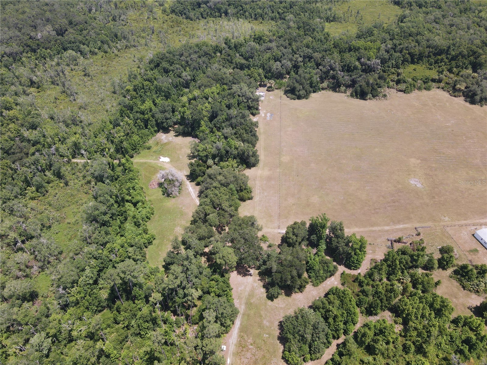 11804 SE County Road 234 Micanopy FL 32667 GC539587 image50