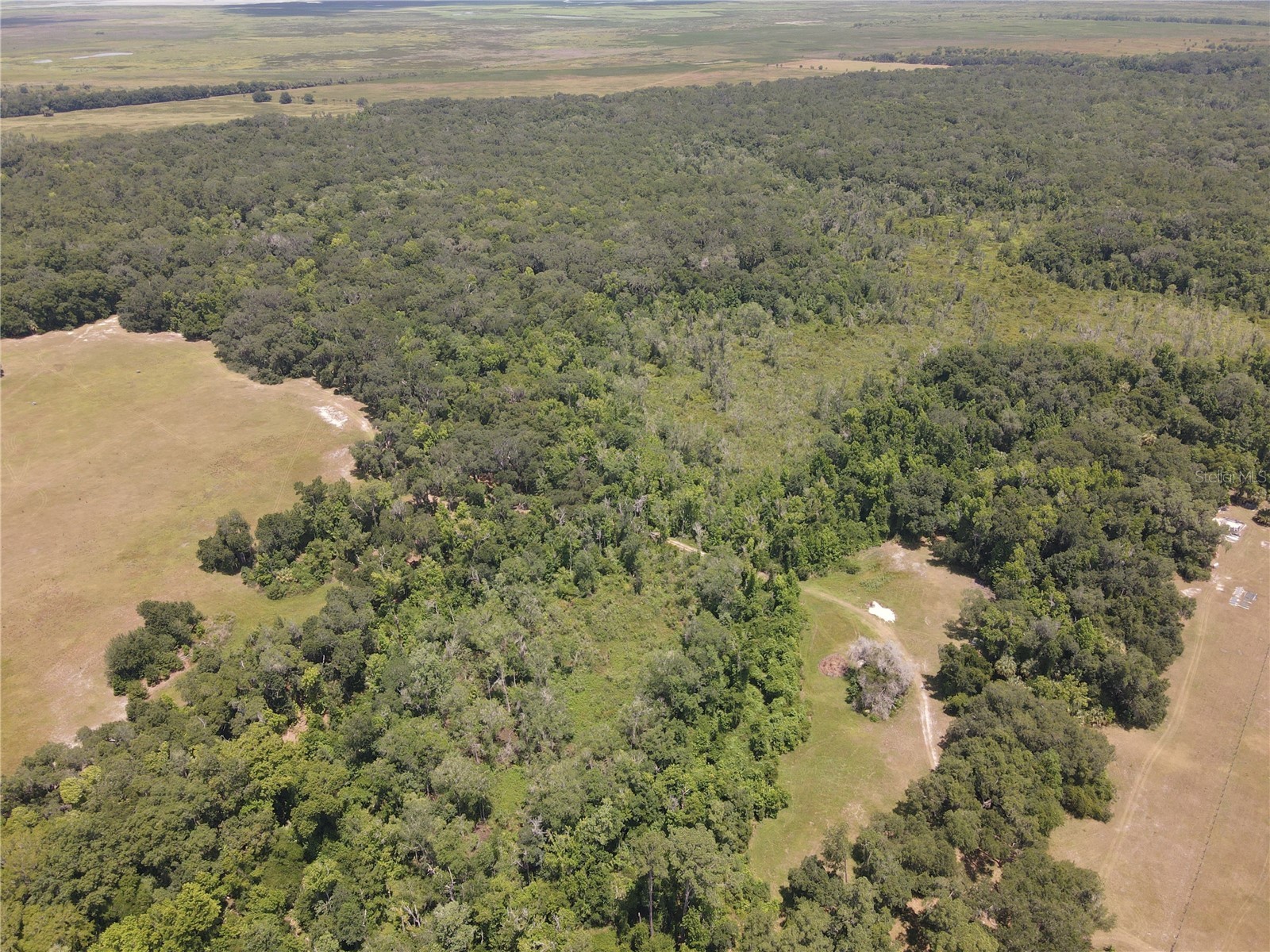 11804 SE County Road 234 Micanopy FL 32667 GC539587 image51