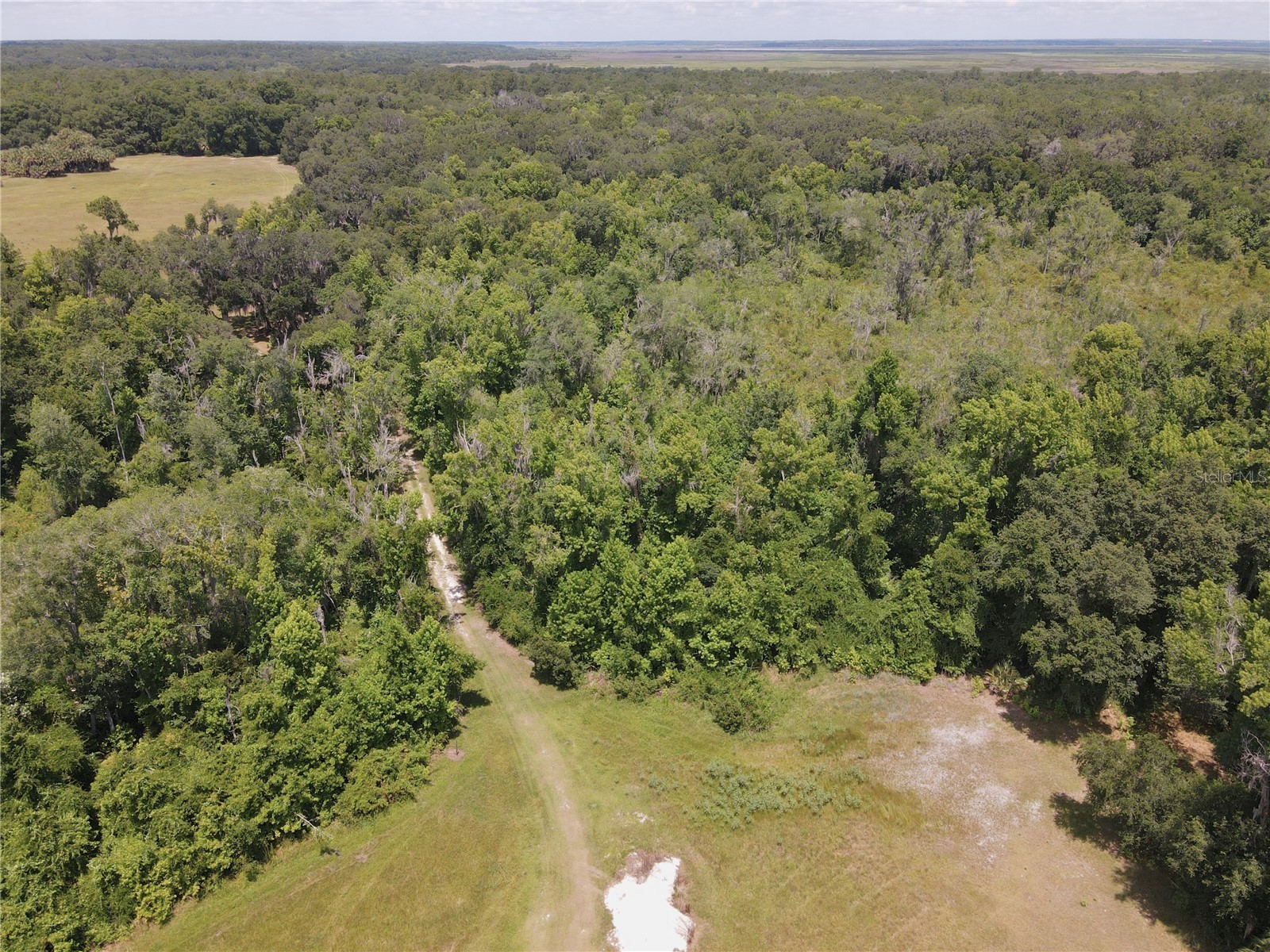 11804 SE County Road 234 Micanopy FL 32667 GC539587 image53