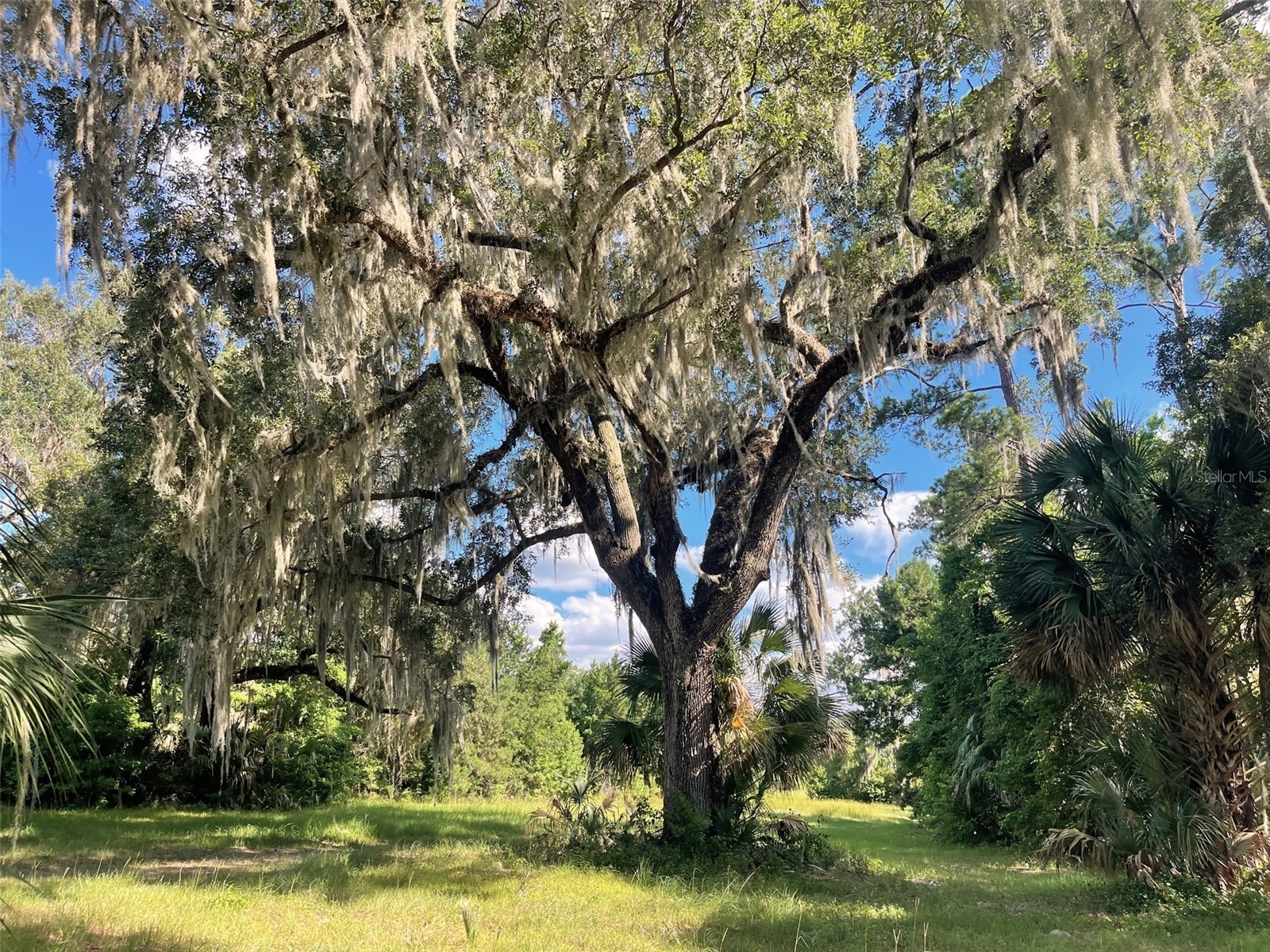 11804 SE County Road 234 Micanopy FL 32667 GC539587 image74