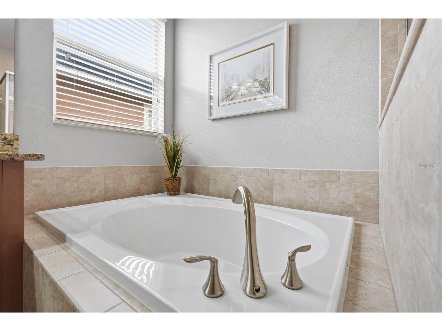 11804 Valhalla Woods Drive Riverview FL 33579 TB8514819 image19