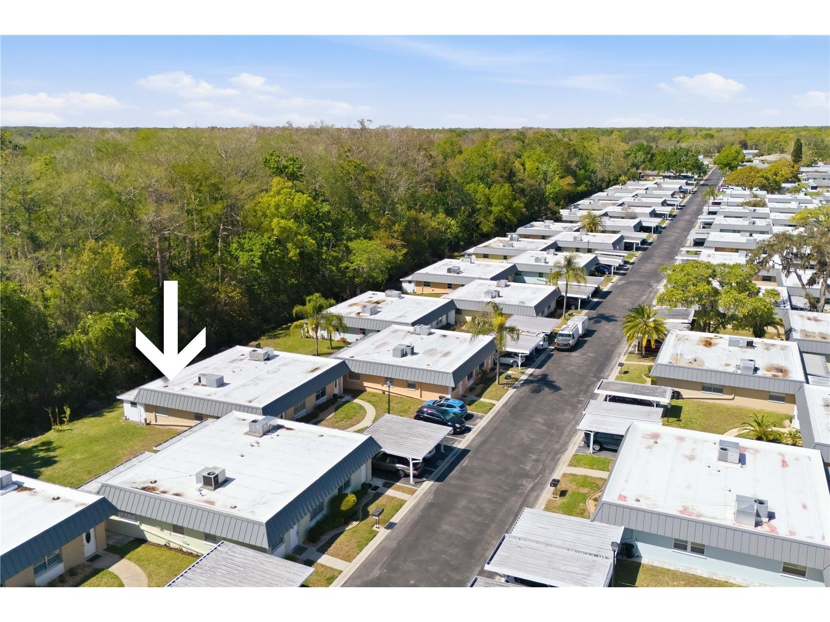 11805 Bayonet Lane #11805 New Port Richey FL 34654 TB8488813 image22