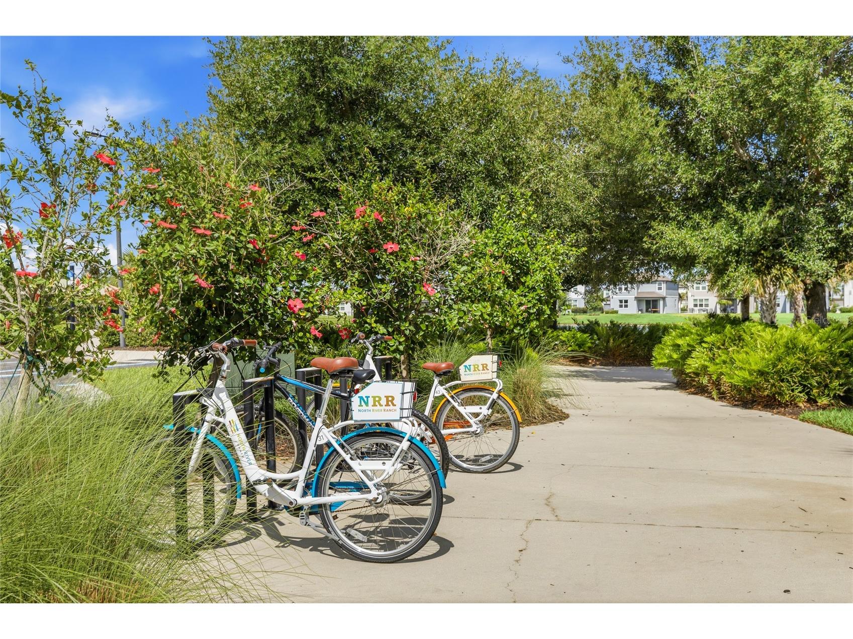 11805 Catawba Cove Parrish FL 34219 A4694933 image67