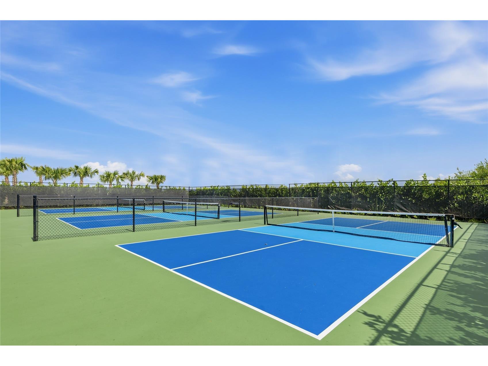 11805 Catawba Cove Parrish FL 34219 A4694933 image69