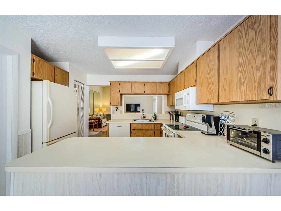 11805 Loblolly Pine Drive New Port Richey FL 34654 TB8423763 image20