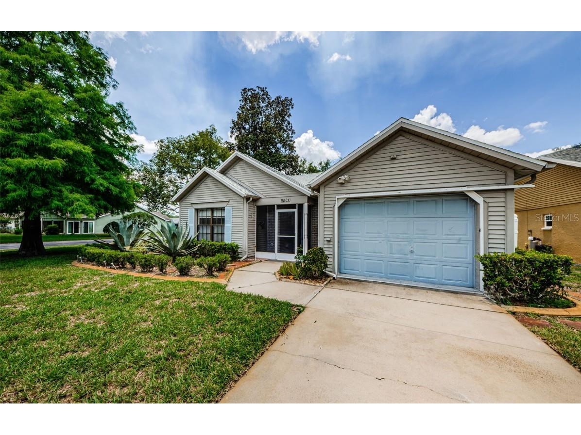 11805 Loblolly Pine Drive New Port Richey FL 34654 TB8423763 image4