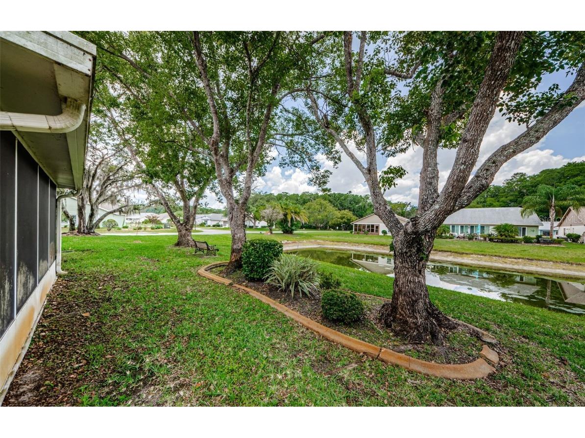 11805 Loblolly Pine Drive New Port Richey FL 34654 TB8423763 image40