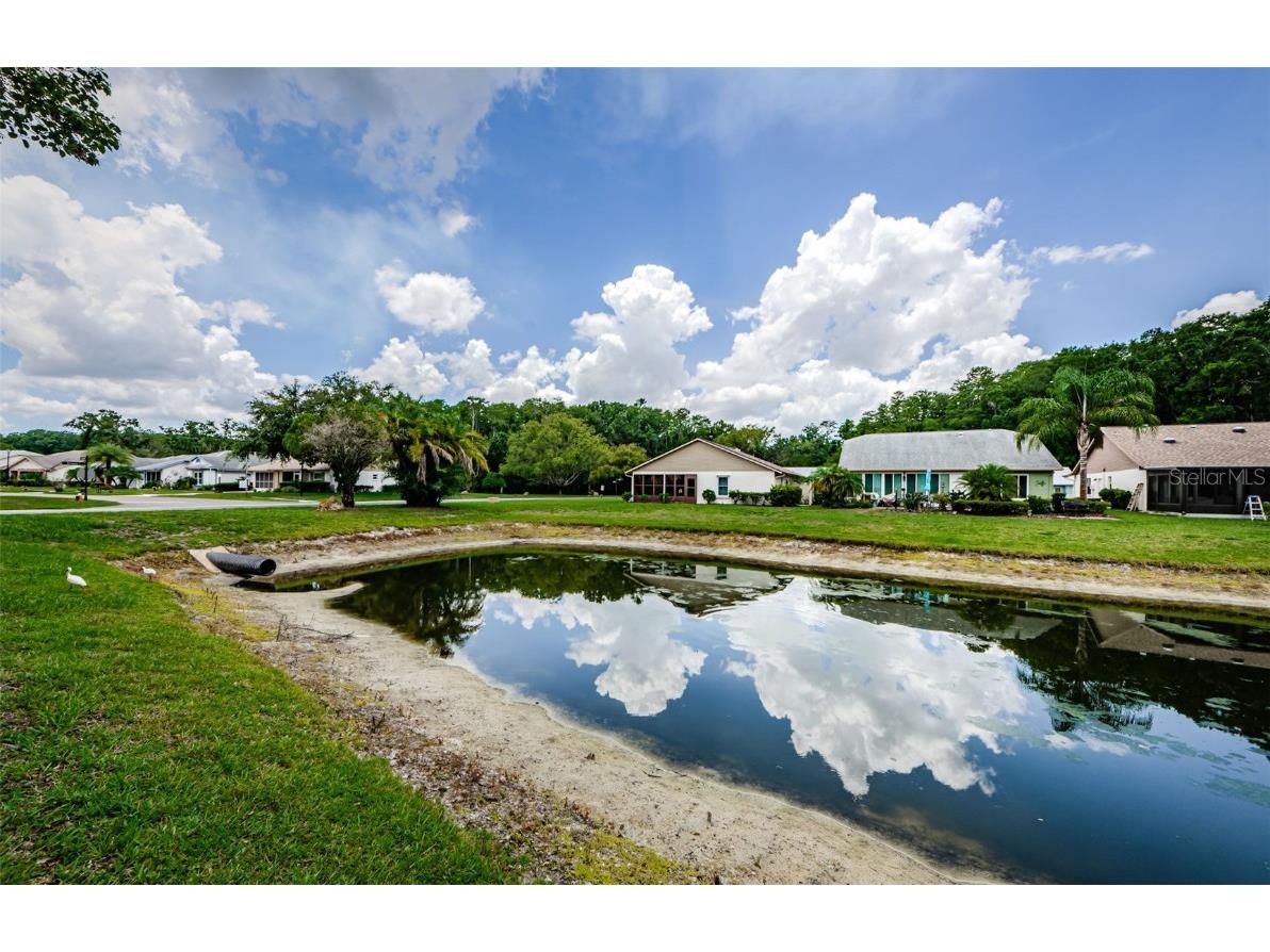 11805 Loblolly Pine Drive New Port Richey FL 34654 TB8423763 image41