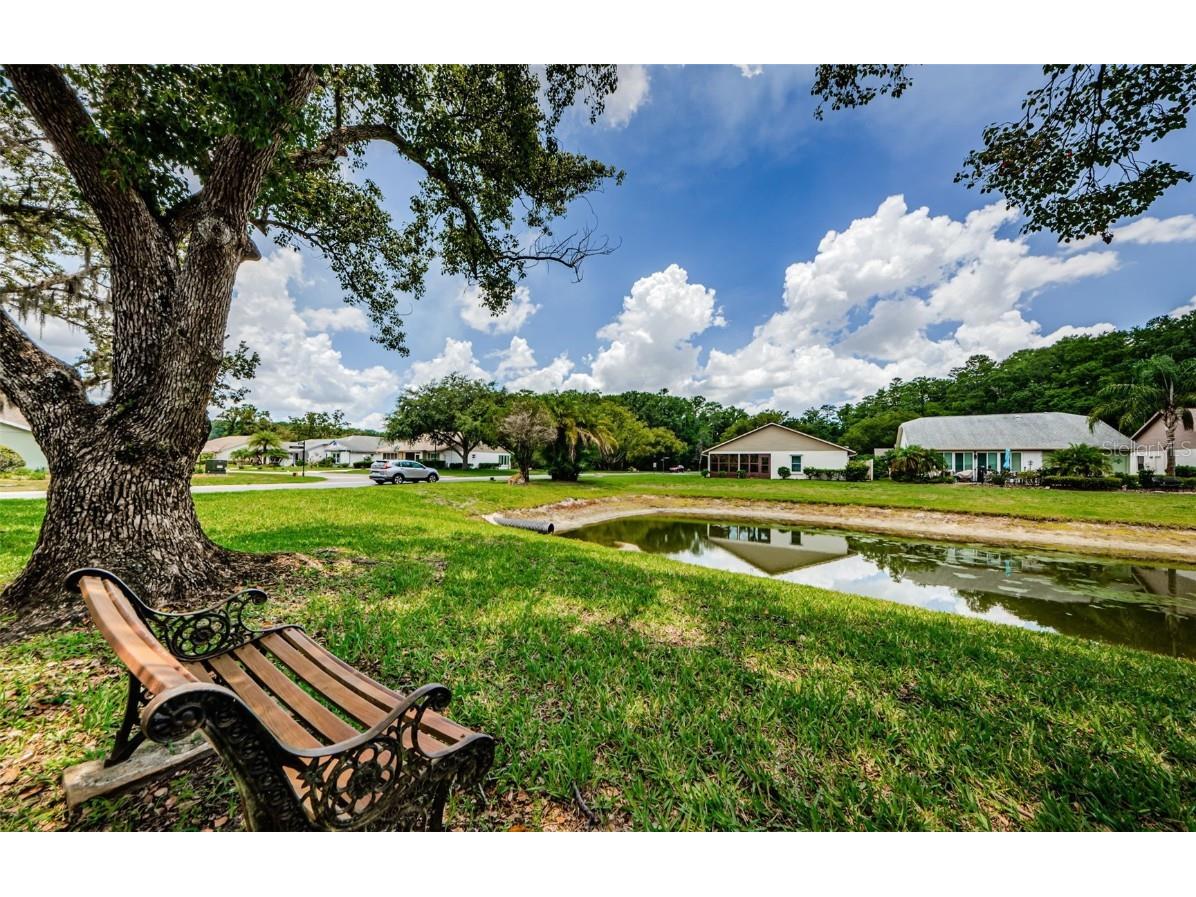 11805 Loblolly Pine Drive New Port Richey FL 34654 TB8423763 image44