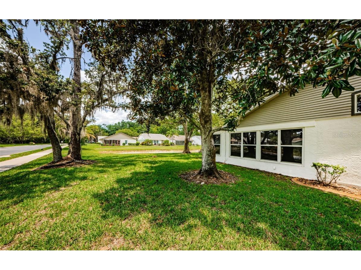 11805 Loblolly Pine Drive New Port Richey FL 34654 TB8423763 image45