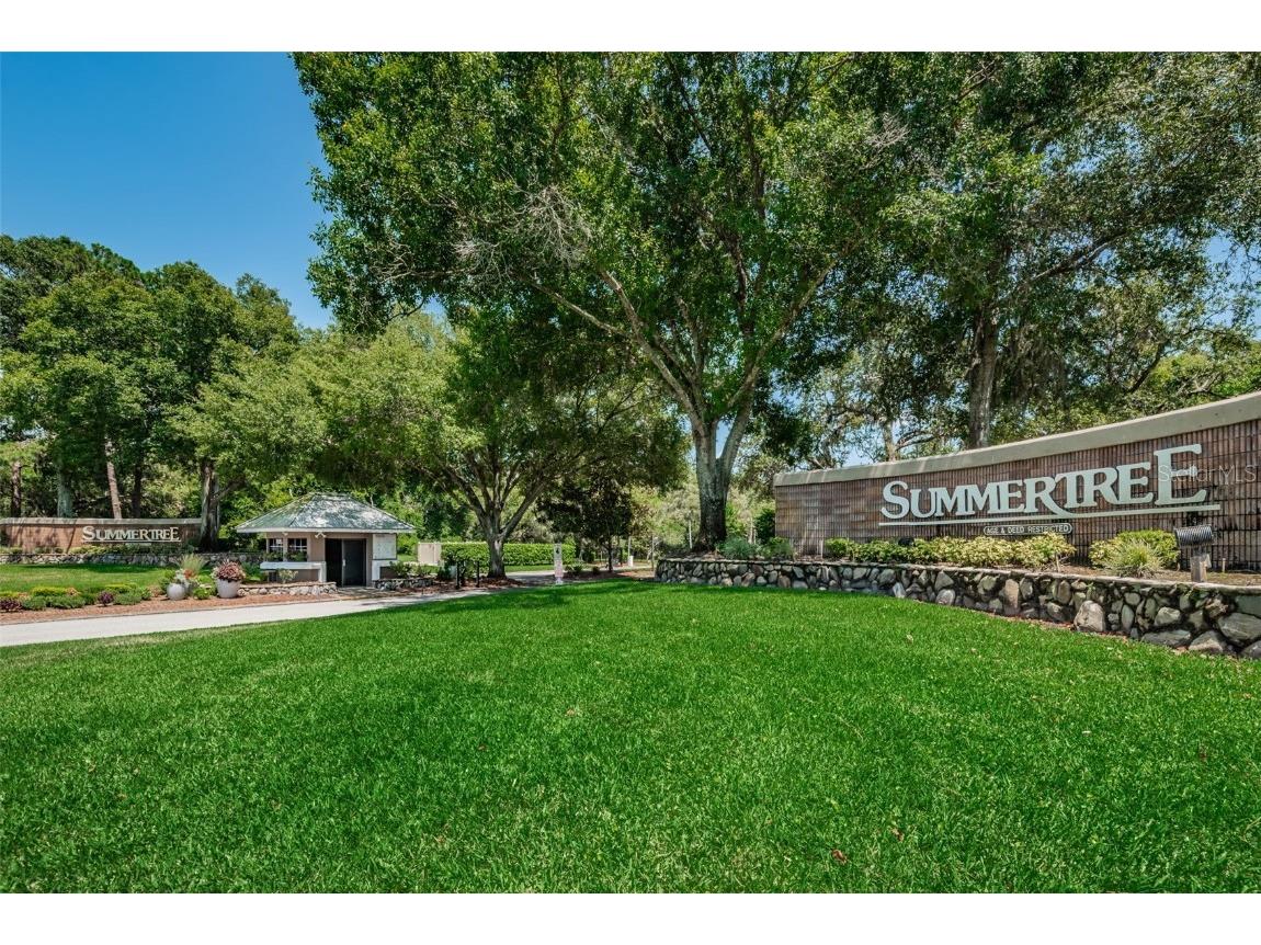 11805 Loblolly Pine Drive New Port Richey FL 34654 TB8423763 image46