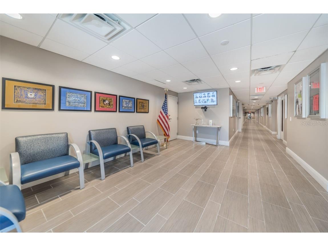 11805 Loblolly Pine Drive New Port Richey FL 34654 TB8423763 image62