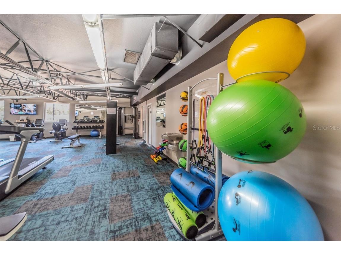 11805 Loblolly Pine Drive New Port Richey FL 34654 TB8423763 image63