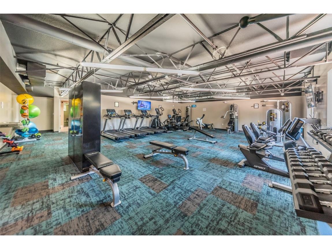 11805 Loblolly Pine Drive New Port Richey FL 34654 TB8423763 image64