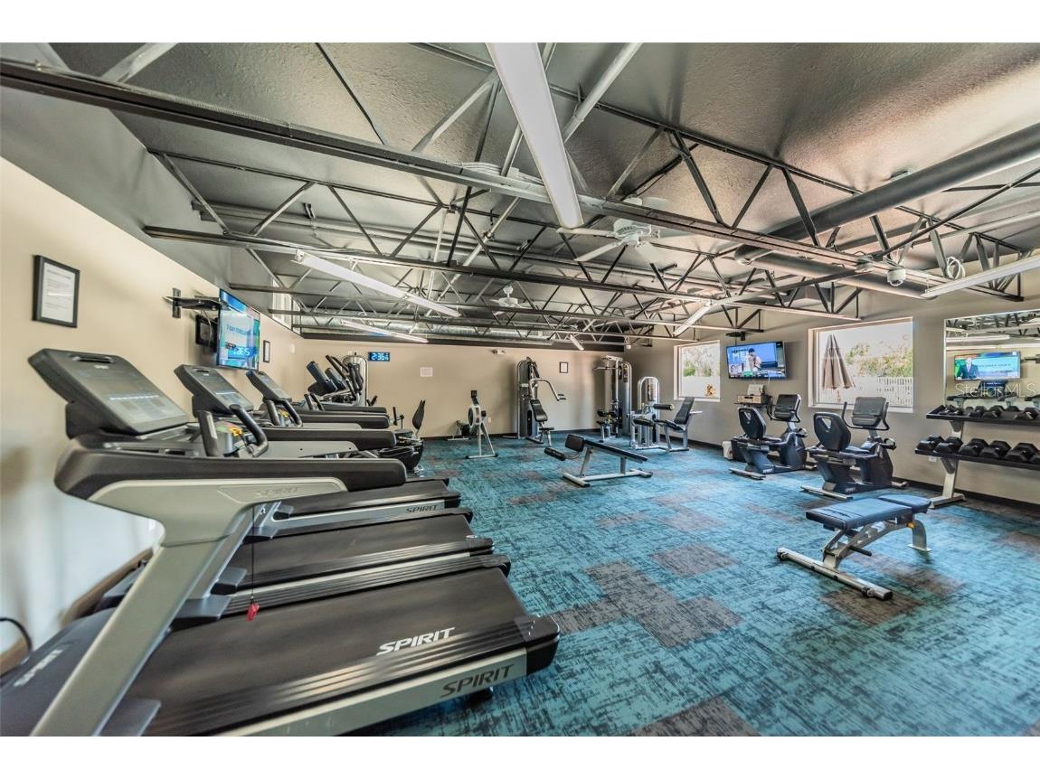 11805 Loblolly Pine Drive New Port Richey FL 34654 TB8423763 image65