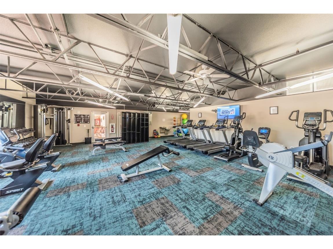 11805 Loblolly Pine Drive New Port Richey FL 34654 TB8423763 image66