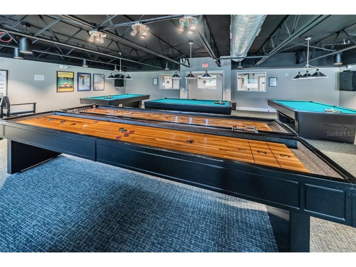 11805 Loblolly Pine Drive New Port Richey FL 34654 TB8423763 image71