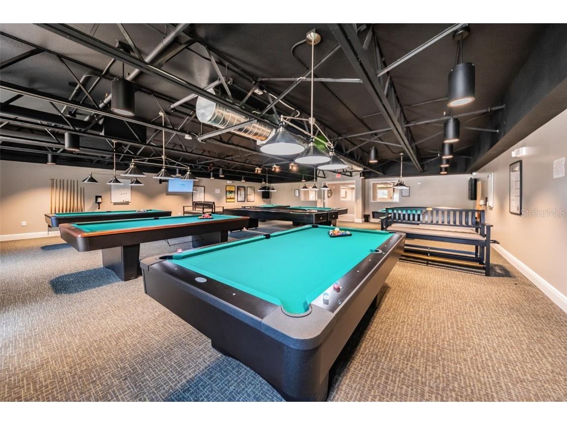 11805 Loblolly Pine Drive New Port Richey FL 34654 TB8423763 image73