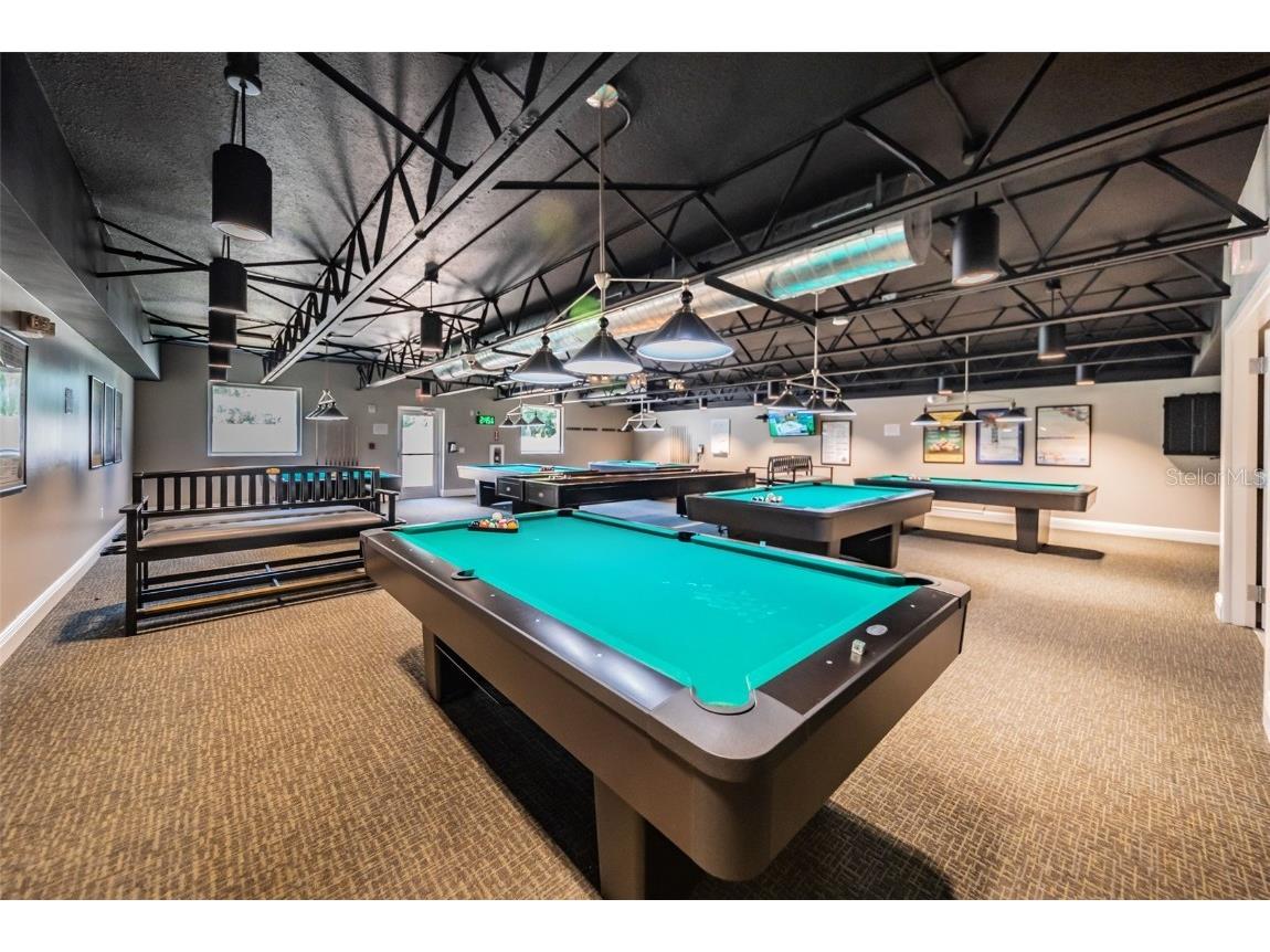 11805 Loblolly Pine Drive New Port Richey FL 34654 TB8423763 image74