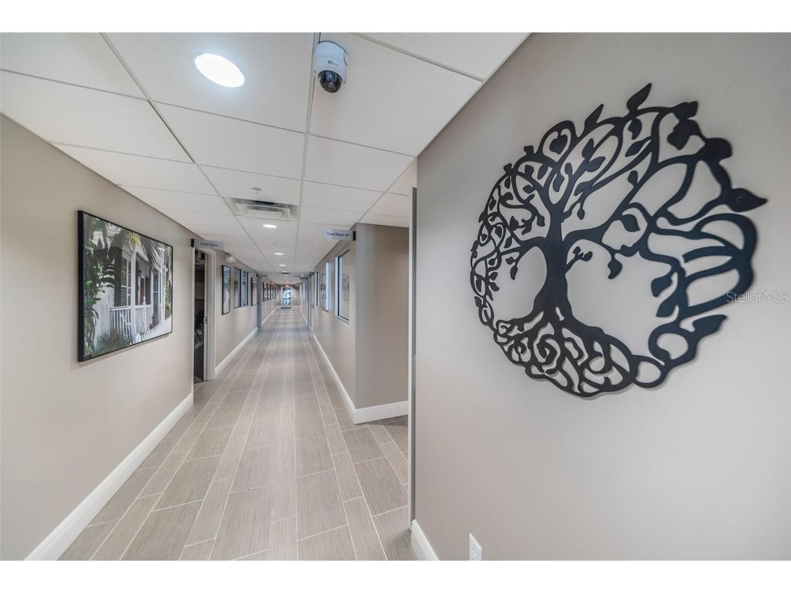 11805 Loblolly Pine Drive New Port Richey FL 34654 TB8423763 image81