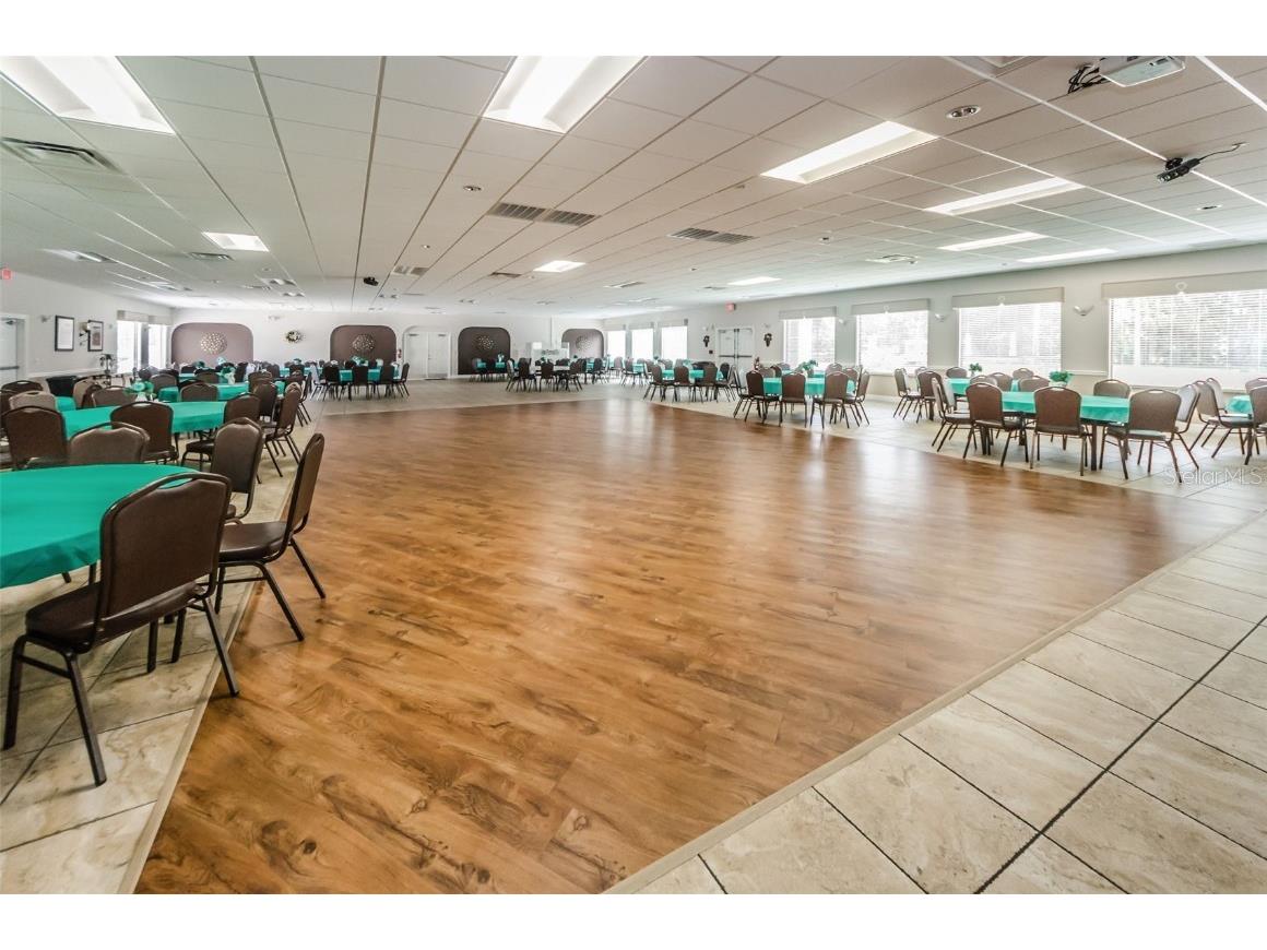 11805 Loblolly Pine Drive New Port Richey FL 34654 TB8423763 image83