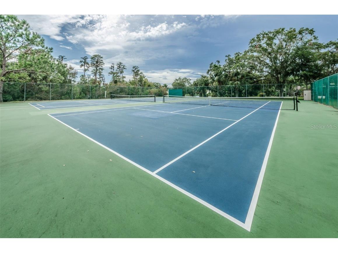 11805 Loblolly Pine Drive New Port Richey FL 34654 TB8423763 image91