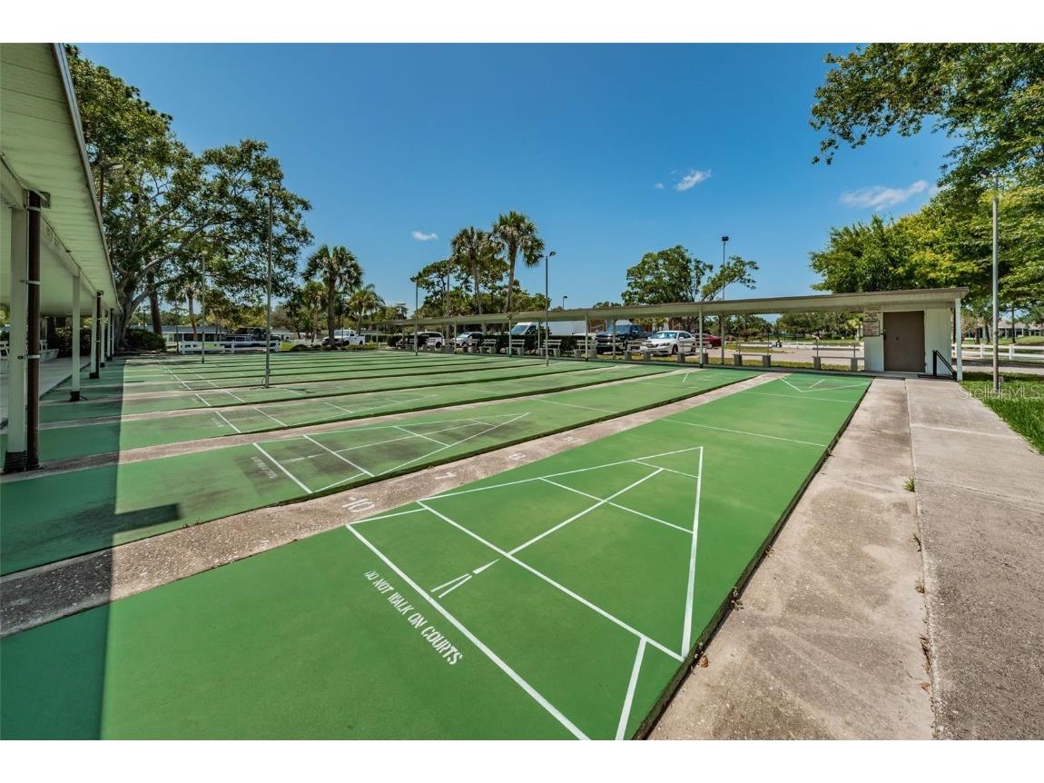 11805 Loblolly Pine Drive New Port Richey FL 34654 TB8423763 image93