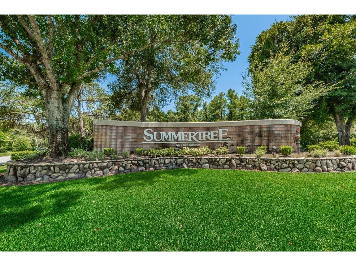 11805 Loblolly Pine Drive New Port Richey FL 34654 TB8423763 image94