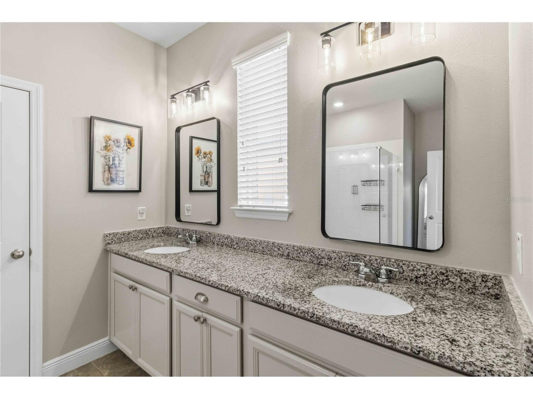 11806 Bluegrass Field Court Riverview FL 33579 TB8494513 image14