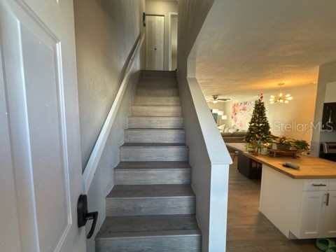 11806 Cypress Hill Circle Tampa FL 33626 TB8444110 image12