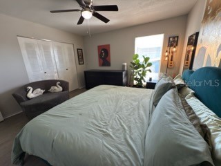 11806 Cypress Hill Circle Tampa FL 33626 TB8444110 image16